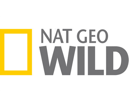 National Geographic Wild HD || HD || CZE/ENG || http://www.natgeotv.com/int/wild National Geographic Wild HD