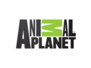Animal Planet || SD || CZE/ENG || http://animal.discovery.com/ Animal Planet