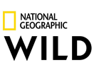 National Geographic Wild HD || HD || CZE/ENG || http://www.natgeotv.com/int/wild National Geographic Wild HD